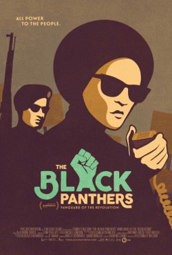 blank_panthers