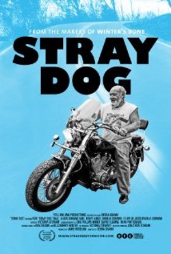 stray_dog