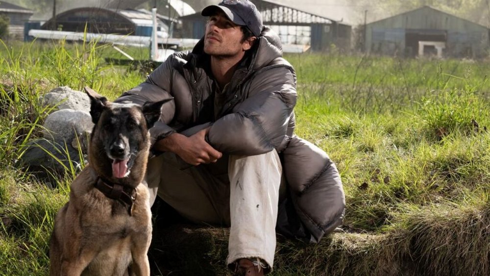 Dog_Stars-Header